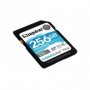 Card de Memorie SDXC Kingston Canvas GO Plus, 256GB, Class 10