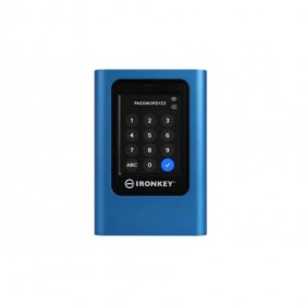 Kingston Vault Privacy 80 IKVP80ES/960G