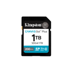 Card de Memorie SD Kingston Canvas GO Plus CL 10