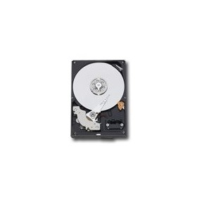 WD Blue HDD Desktop (3.5", 1TB, 64MB, SATA III-600)